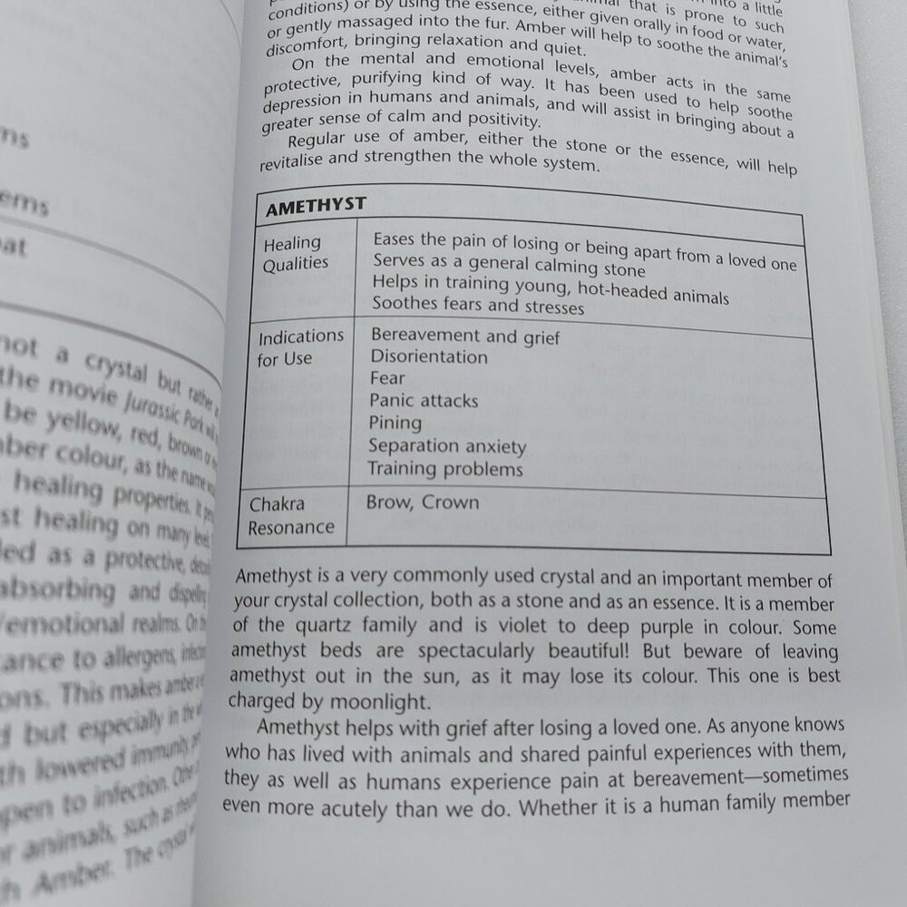2002 Book Crystal Healing For Animals by Martin J. Scott & Gael Mariani - Picture 11 of 13